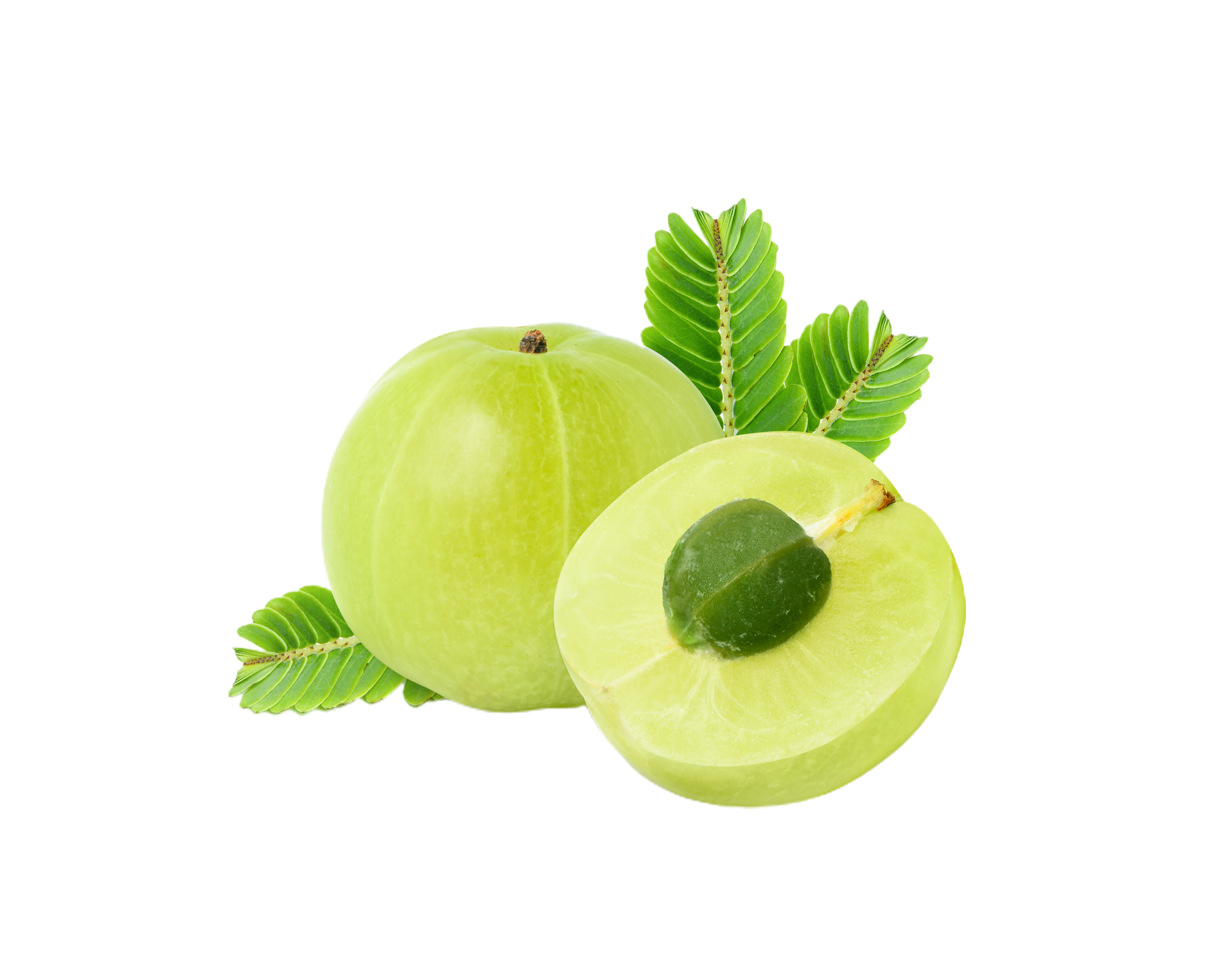 Amla